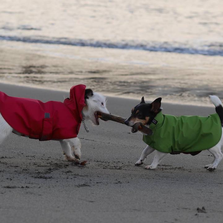 93797a0b 01d5 4665 854c d92e6abd2626