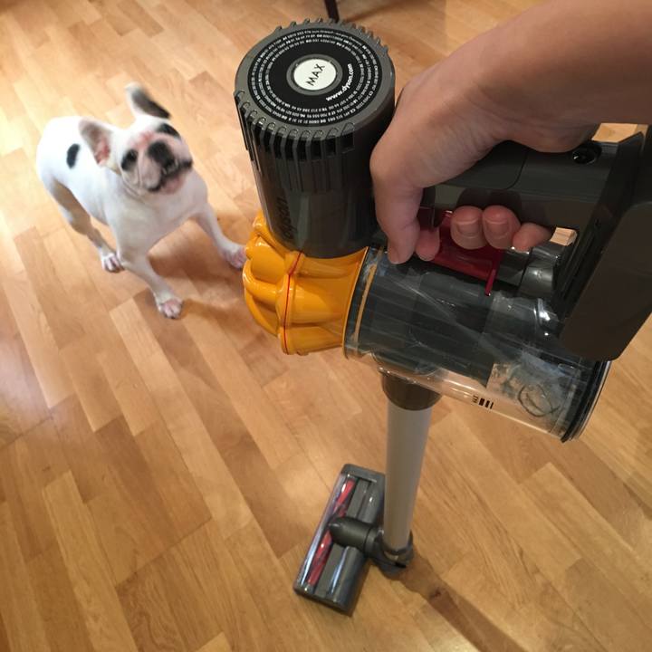 9379bfaa 7f85 49e6 87c1 b07f45c4a155