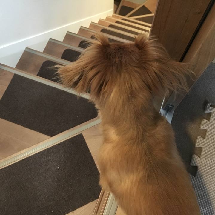 9379c221 d5a6 4c37 b59e 24e0c0db1f02