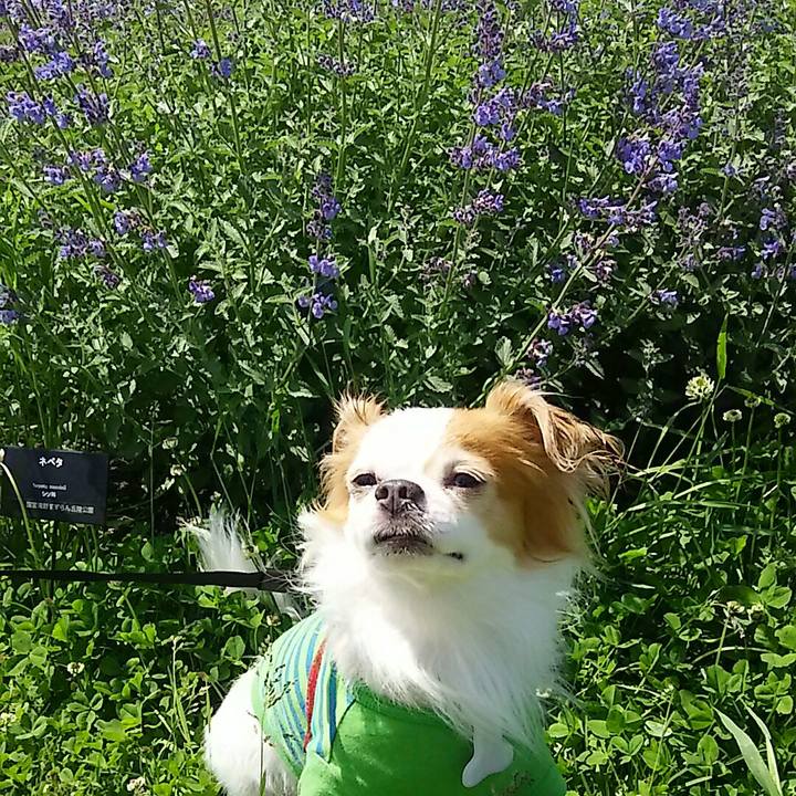 9379dc3d 1e29 46a7 8472 50f0b13d53ad