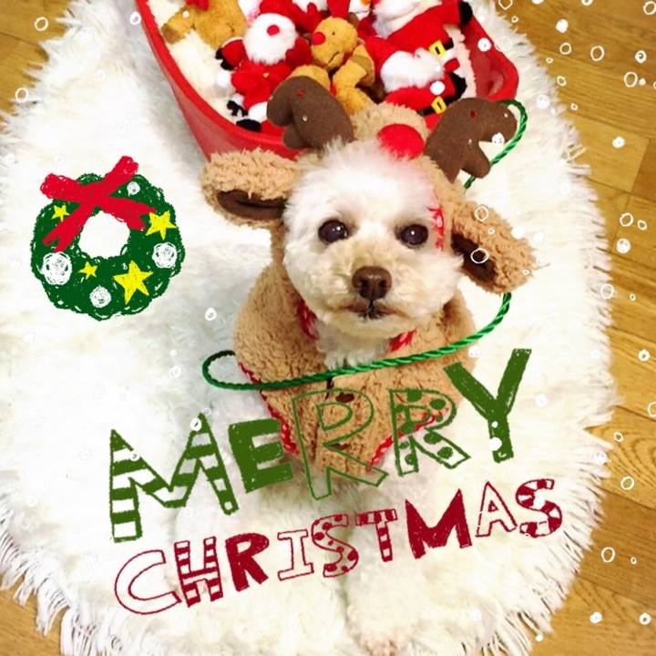 937a383d 579c 476a be32 5d646b66d667