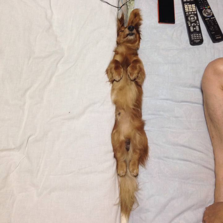 937b2ff0 30e2 4959 b6be d717659cbc2f