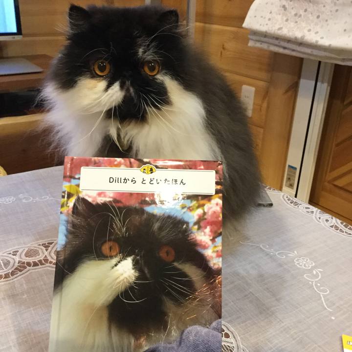 937b72af 30d0 43d7 bf85 ee6d5d4f330c