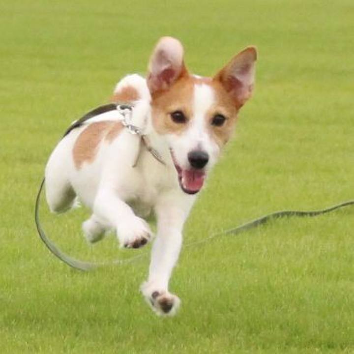 937c804e f1ba 40f2 833e 85889f3b9048