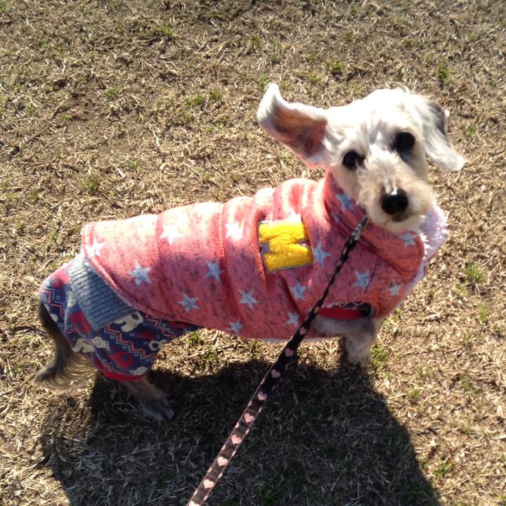 937c96f7 2175 4f1a 8085 89303cebf7b4