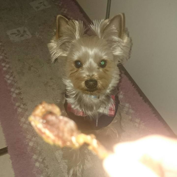 937ccac8 53ef 461a 90cc 53d9ed665a77