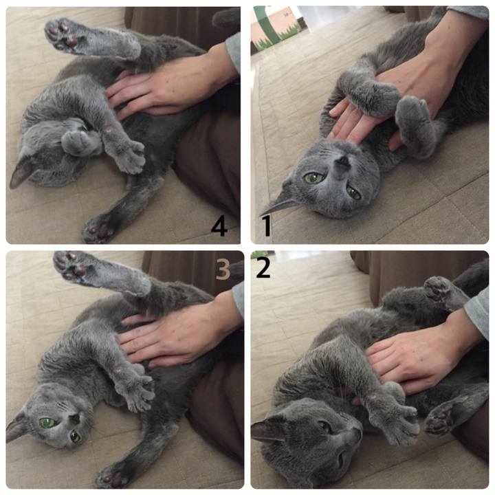 937cf2de 472b 4af9 89f4 9375db2d90a7