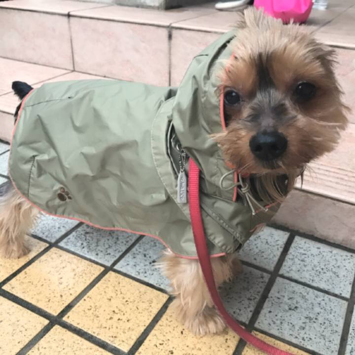 937d786f 5393 4194 9217 9c2970bb6d6a