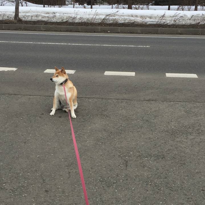 937dc02c acbc 4c04 b2a2 a6caaa9404d3