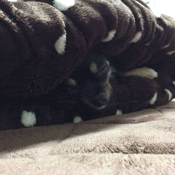 937e83ad ef1b 4b15 85fe 60a9c6e13c91