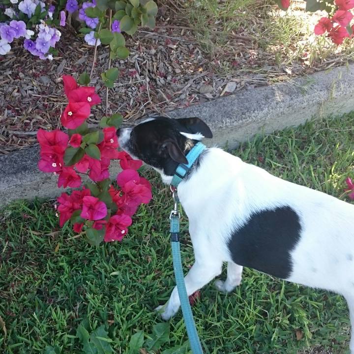 937f335d eb9d 4383 9493 d61153a9365b