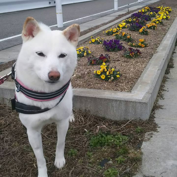 937f8386 90ad 4b6a 9bf0 116294d3a8fd