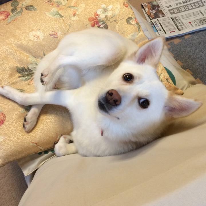 937fcdae 4e6b 45e0 a6f1 a0fa770f821f