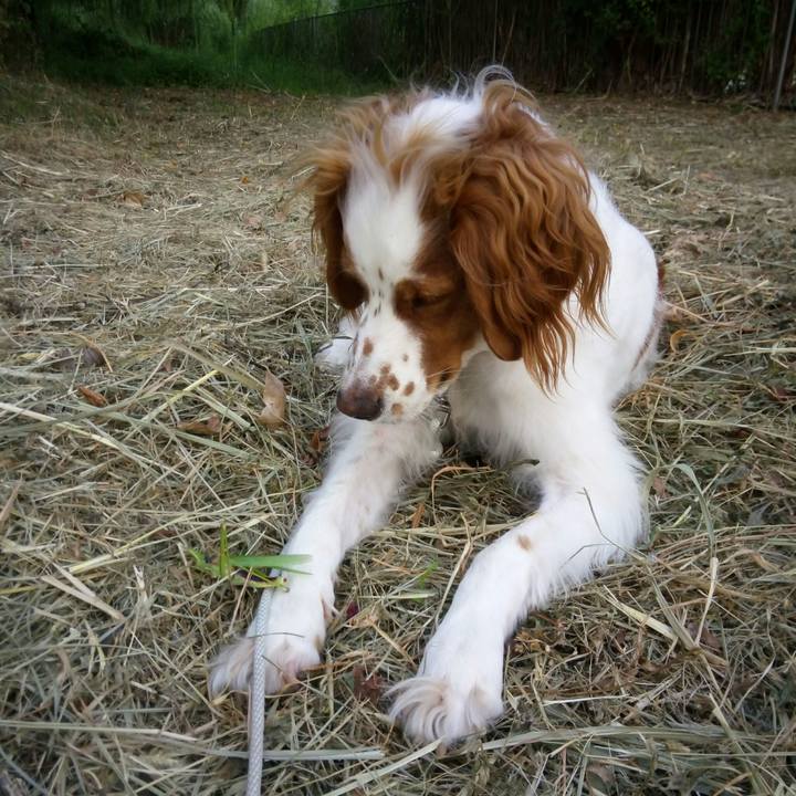 93806a46 a841 423e 8b97 8c664d9d92f4