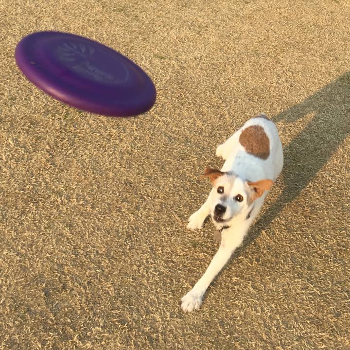 93806ce0 c16c 42db 8a6d 602e90bb2c2a