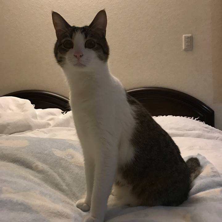 93807773 a107 4a18 8efa 330e3b7a6dee