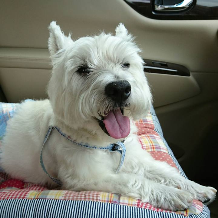 93808f6e 32c5 4778 b3b9 ed81ed98177c