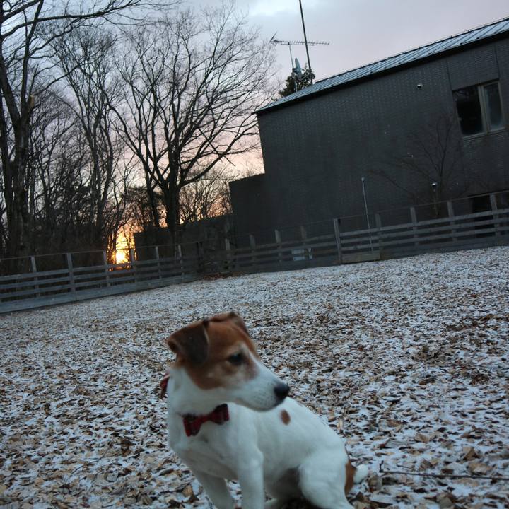 9380aa65 149d 4f3a a43f a56e47f1754b