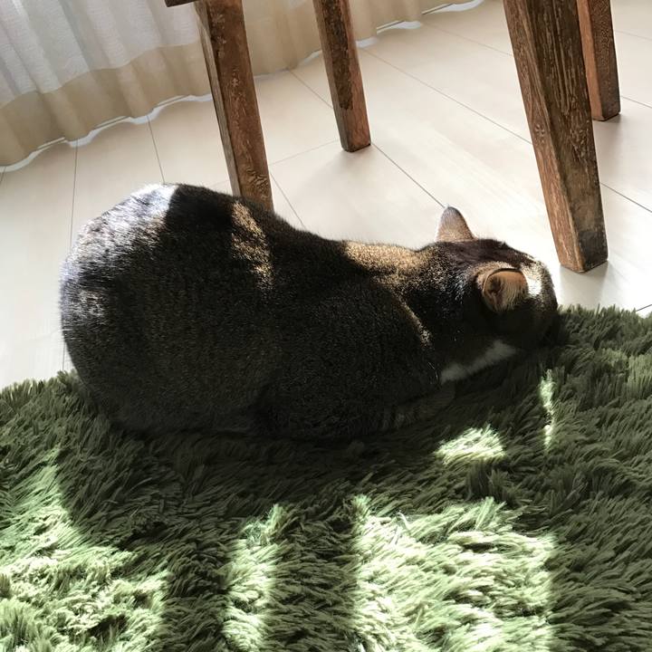 9381c1d7 d14e 448c ac66 7c5d7b31bc8a