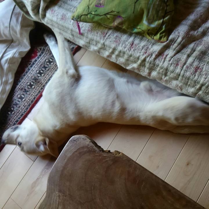 938214bb 6b1f 4aff 90b6 0637f74908ad