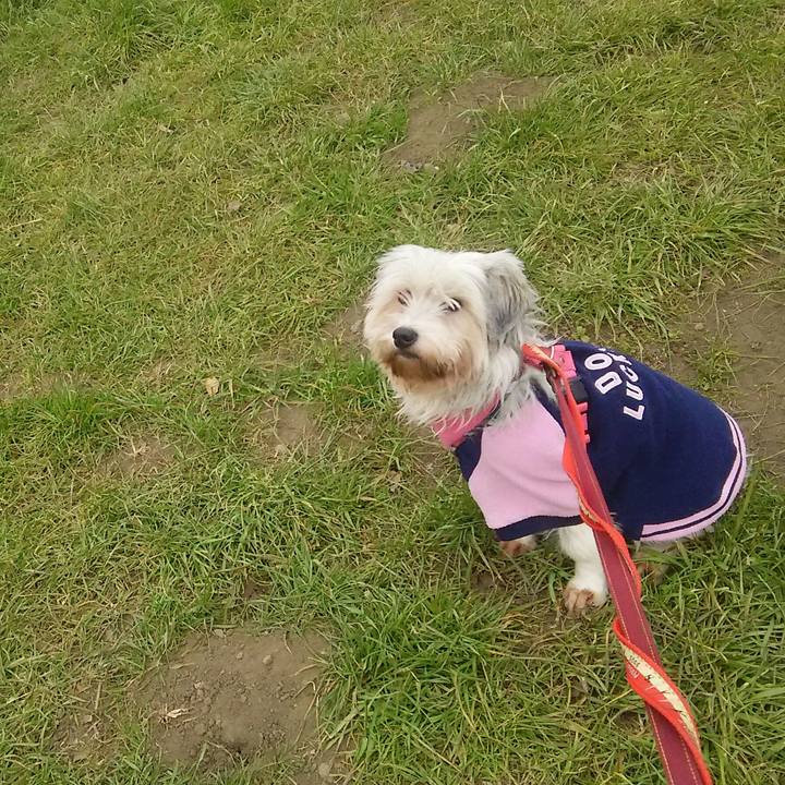 93823490 bad7 41e7 a504 58743eb04570