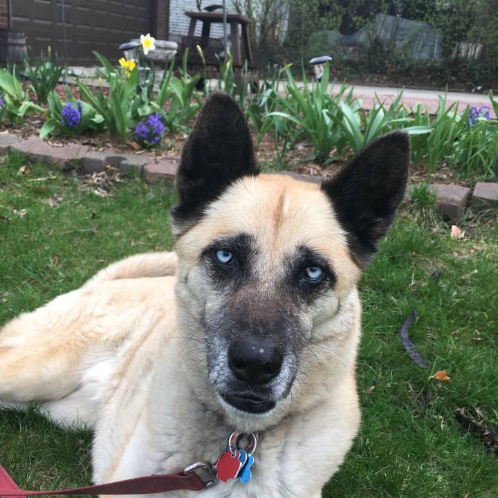 9382431d a22b 4a4e 9e2b cfbf31592218