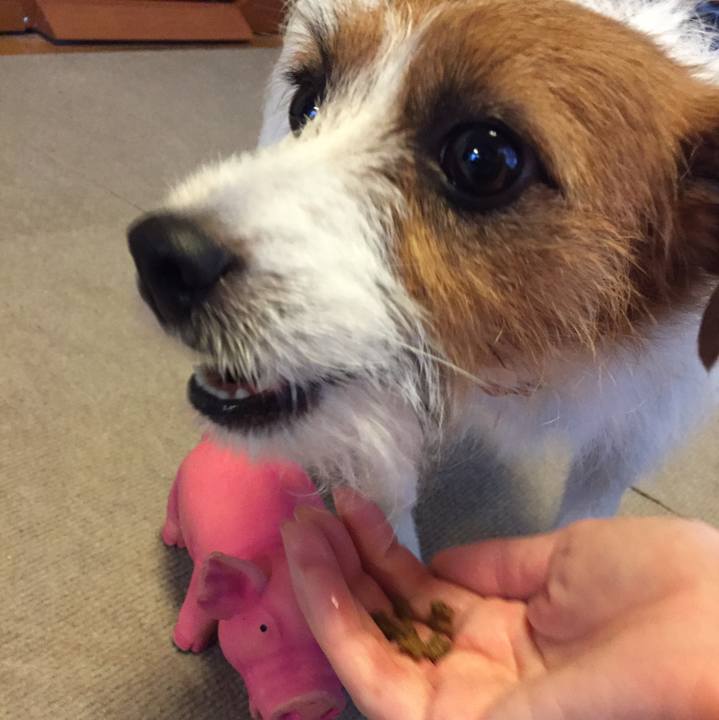 93834deb 6038 444e 913e 929cb231a465