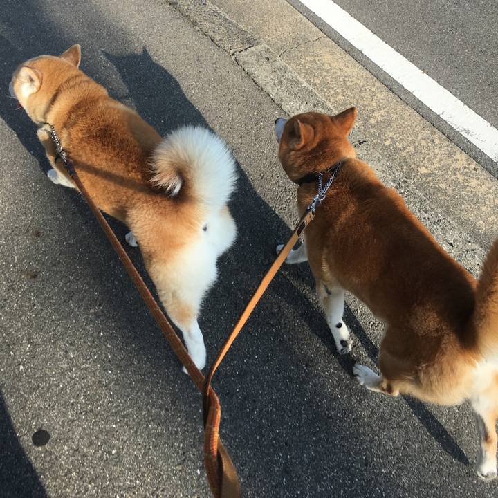 9383b811 6a80 49c2 b178 1ef6d69ff63f