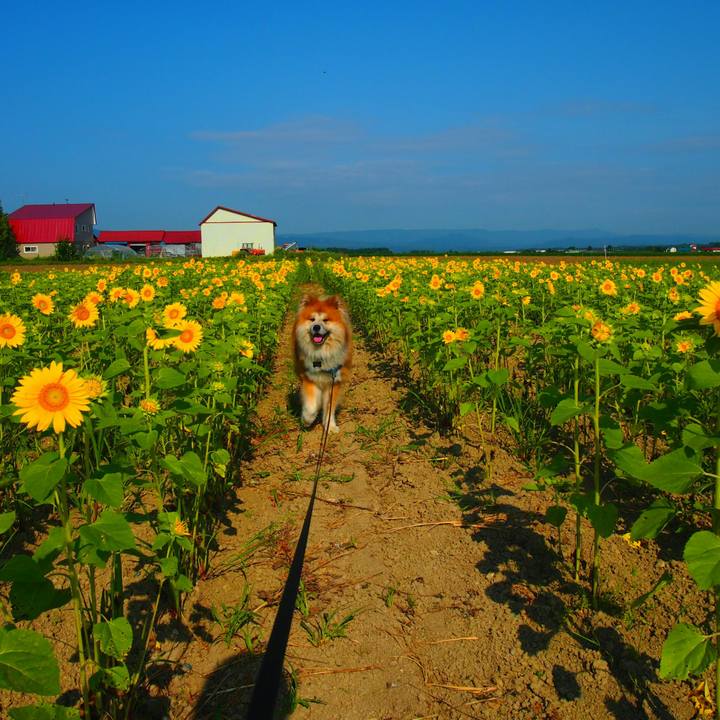 9383c9b6 bb54 4086 9b10 32b5137e12cc