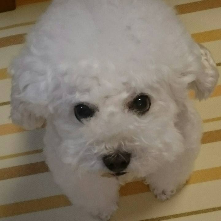 9383f02d 2edc 47f2 b715 c0d6bc87bf76