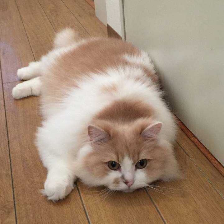 9384ab36 4c92 49a2 bb21 d5044ea2ab33