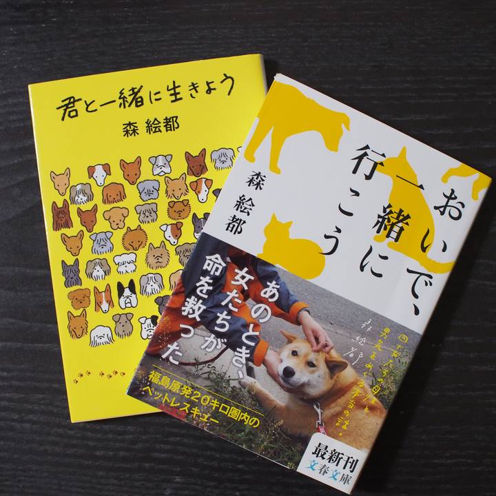 9384f655 71cf 4361 86ec 241fae2e469d