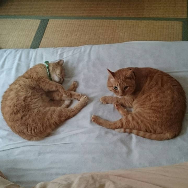 93868c71 cf9d 4a55 8470 dedfeac2b97c