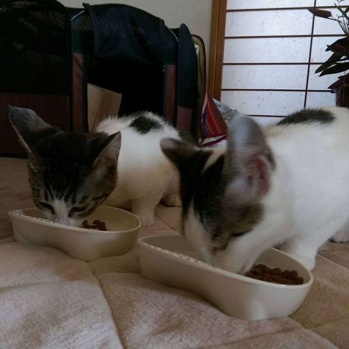 9386d881 98aa 4972 ab71 d5c8102c5ac4