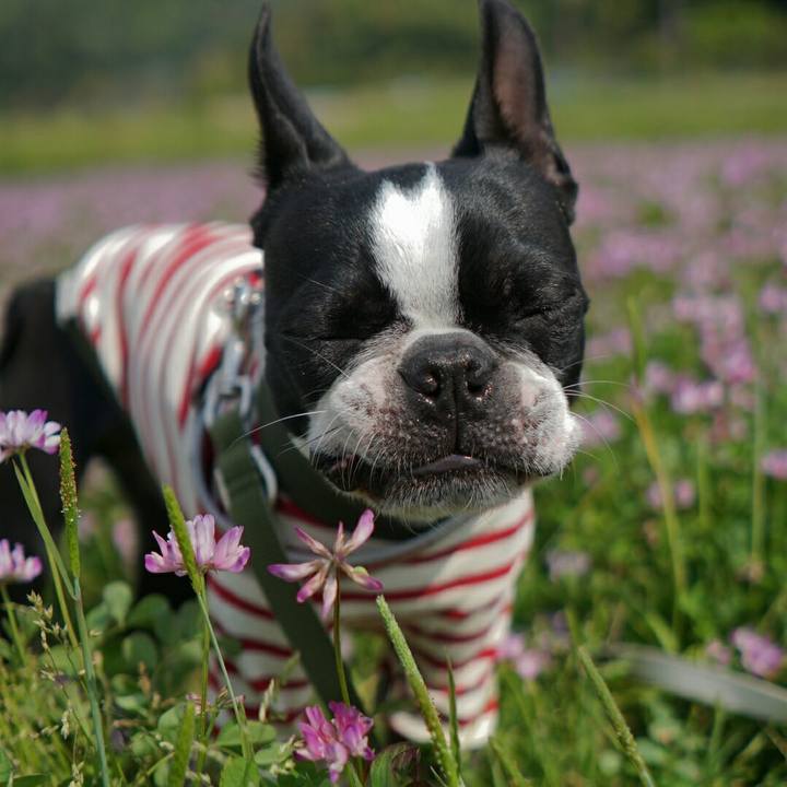 938793c3 e5b9 4ca0 aa46 bfd3057aeb42