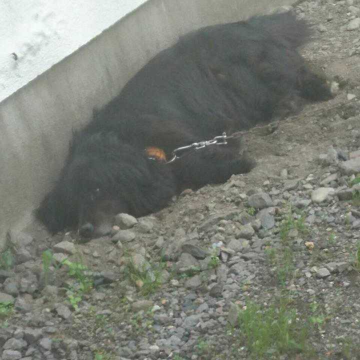 9387c665 276f 48f4 b1ff c72997b95b57