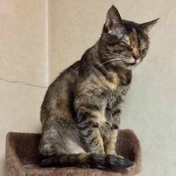 9388f04e ddf0 4573 b333 69b5c28baced