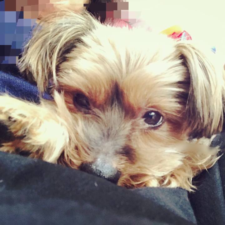 938928b0 c6e4 468b a68b e408cc46622e