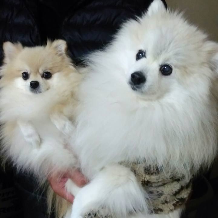 93897b1e 56ca 4518 bf39 22c1f55e51c3