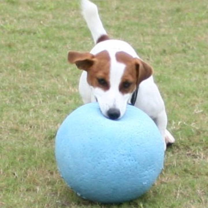 9389b512 b781 4953 b528 f3d9dc5569c9