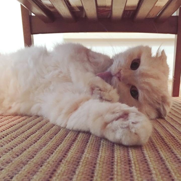 9389cedf d777 4b1c bb08 010d91374536