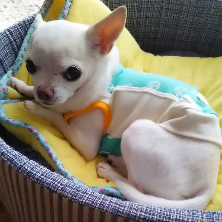 9389e20e b17c 4c9d 9a95 3980d507a6b6