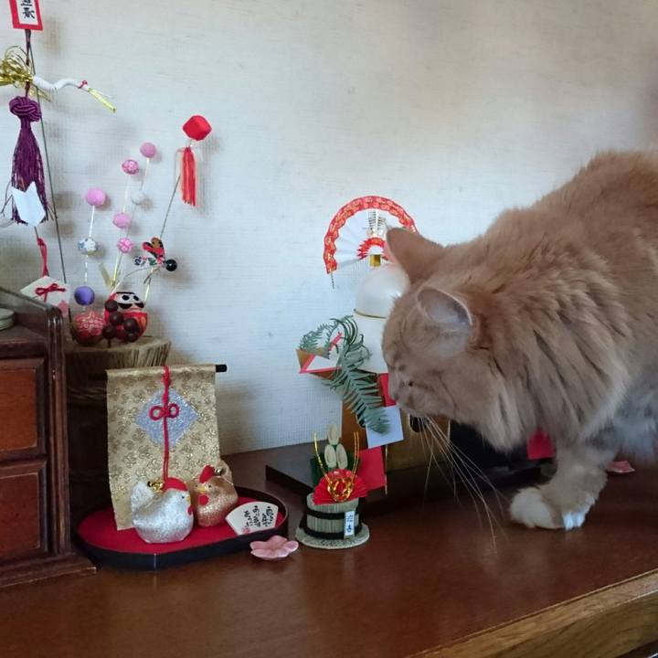 938a99ca 200d 48fe 816c 0ec2673e8c1b