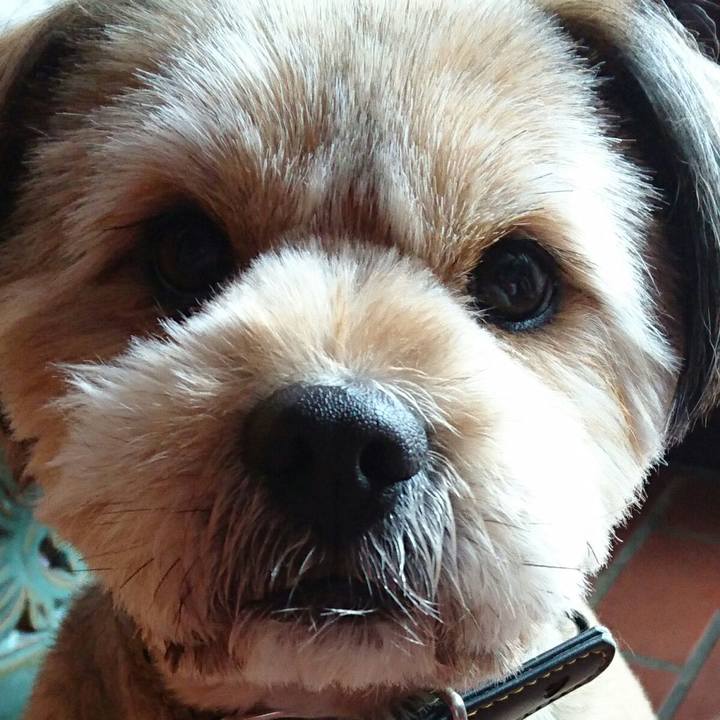 938ad84b d33c 4b72 81e7 33a6af6cc9cc