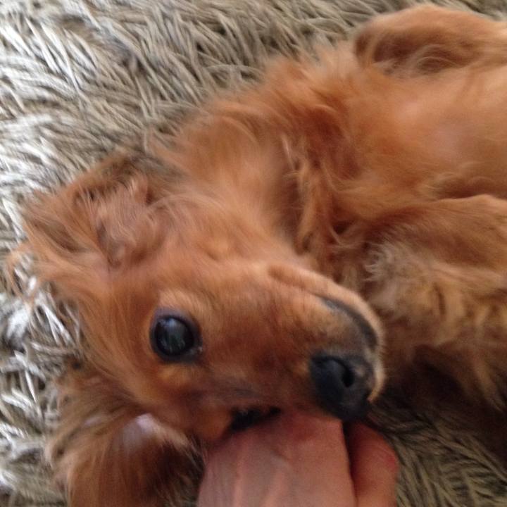 938bdf73 218f 4a1e 8442 3b3850de1fdf