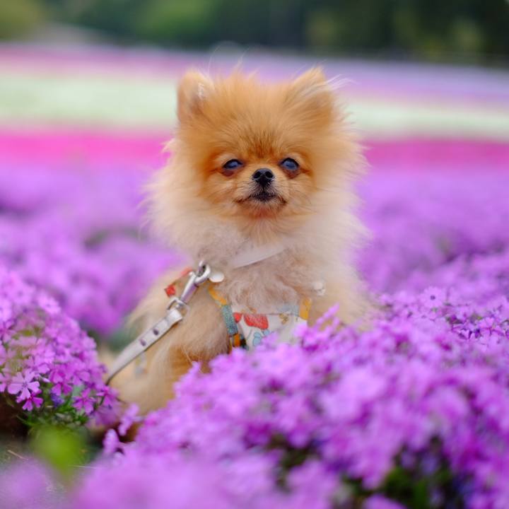 938bf997 93b1 4f4c bdf6 b901a4316415