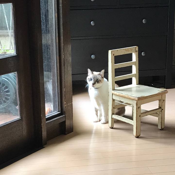 938c4fe4 adb3 4fad a3f5 e14c4b09d698