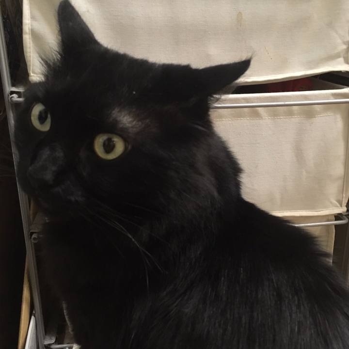 938c8390 9a4e 4561 b03e e555697e7c56