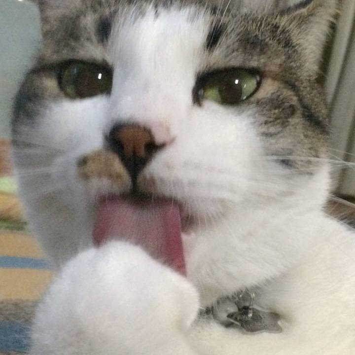 938c8e5f 944d 4ae0 9864 2c20131a055f