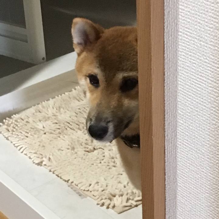 938d9a75 cd23 416a 8b92 d2e7492cf933